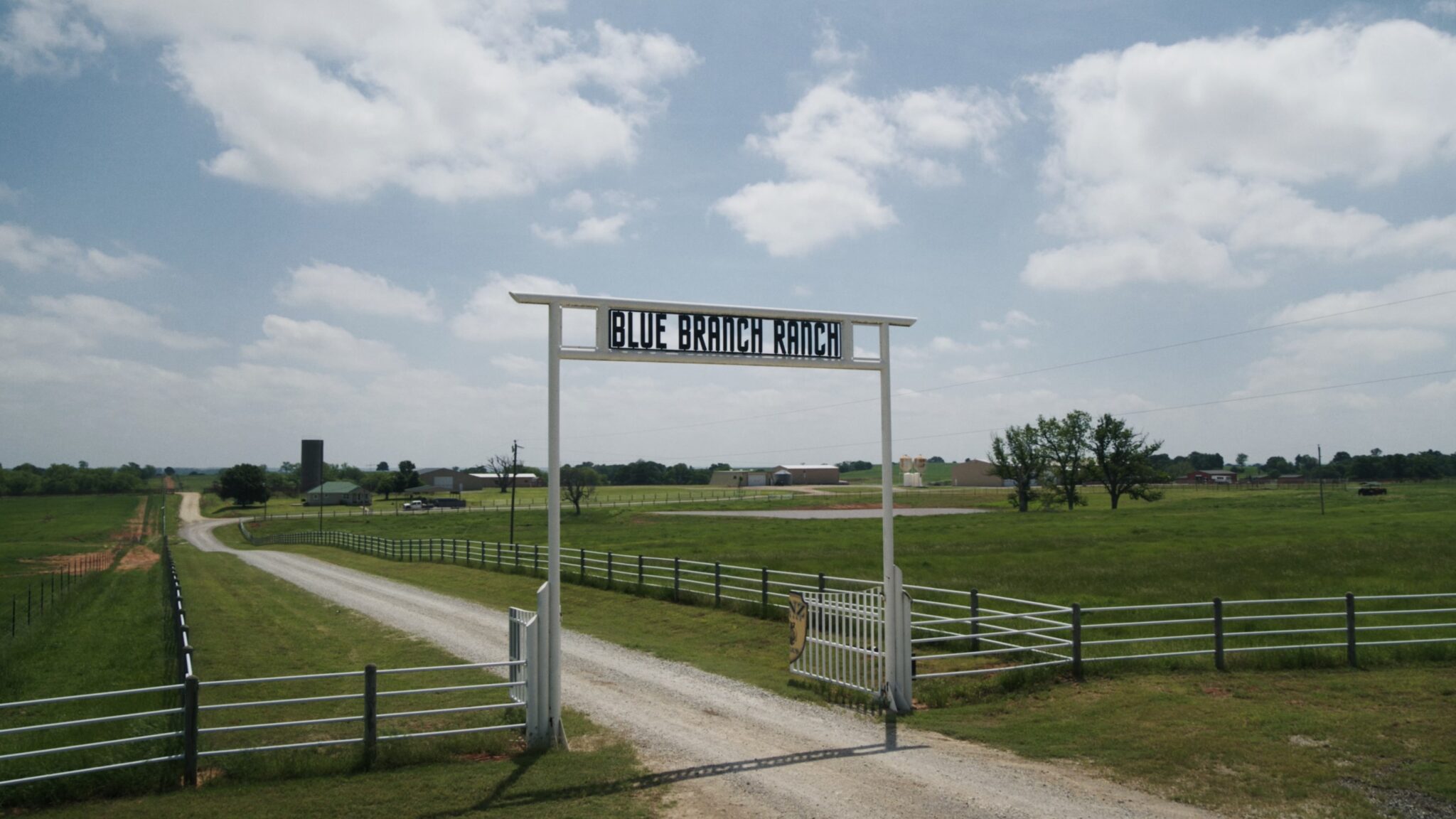 Linz Heritage Angus Meat Distributor Meats By Linz